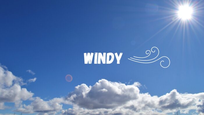 Windy